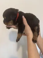 processed/3e996ce3-ff68-4df9-bfb5-52acfc147323/listing/f9b4ead0-872d-414f-90bb-2b36343eb631/3e94d6bb-a270-4572-86d1-70ff01e7bf7d