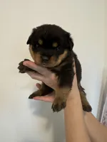 processed/3e996ce3-ff68-4df9-bfb5-52acfc147323/listing/f9b4ead0-872d-414f-90bb-2b36343eb631/b7b53fe3-8d38-403b-987f-d6c07b16bfcb