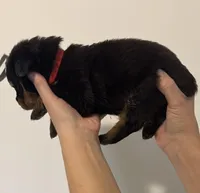 processed/3e996ce3-ff68-4df9-bfb5-52acfc147323/listing/f9b4ead0-872d-414f-90bb-2b36343eb631/f465ffbe-3657-4ae2-8c9b-2083a293d5f1