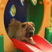 processed/3e9ea4a4-34bd-4fe9-800c-74ea14926900/facility/130e8421-5993-4417-a2e7-1cf696b69427