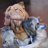 processed/3e9ea4a4-34bd-4fe9-800c-74ea14926900/facility/3ceb4785-066a-460c-a744-370bd98c5fa4