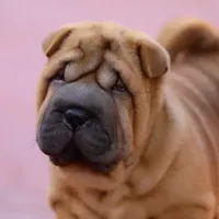 processed/3e9ea4a4-34bd-4fe9-800c-74ea14926900/facility/41aefbf6-f220-4359-bdd2-aa5a13ab97cb