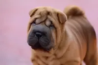 processed/3e9ea4a4-34bd-4fe9-800c-74ea14926900/facility/41aefbf6-f220-4359-bdd2-aa5a13ab97cb