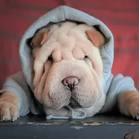 processed/3e9ea4a4-34bd-4fe9-800c-74ea14926900/facility/ad857b2c-cccd-4fb9-84d8-010e268c8ba0