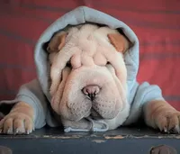 processed/3e9ea4a4-34bd-4fe9-800c-74ea14926900/facility/ad857b2c-cccd-4fb9-84d8-010e268c8ba0