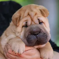 processed/3e9ea4a4-34bd-4fe9-800c-74ea14926900/facility/bde463e8-7e96-4576-8f50-9c375b211c48