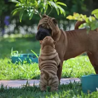 processed/3e9ea4a4-34bd-4fe9-800c-74ea14926900/facility/e624beeb-3030-46f4-9f63-314f62897590