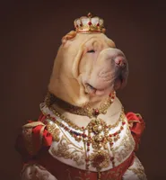 processed/3e9ea4a4-34bd-4fe9-800c-74ea14926900/listing/614c33c6-5224-4bce-9796-aff0957214dd/06e238fe-0235-4152-aa1f-2c2499084f95