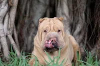 processed/3e9ea4a4-34bd-4fe9-800c-74ea14926900/listing/614c33c6-5224-4bce-9796-aff0957214dd/95966b03-67c6-4cd3-afb8-3ed5add07084