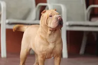 processed/3e9ea4a4-34bd-4fe9-800c-74ea14926900/listing/614c33c6-5224-4bce-9796-aff0957214dd/c97e6e2f-e5ae-4f7e-ae44-9972984cf902