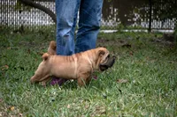 processed/3e9ea4a4-34bd-4fe9-800c-74ea14926900/listing/a80d69d3-1d46-4812-b7e5-4ac0f5cae049/4badbbac-babc-4a49-ad33-702dc7e9eac4