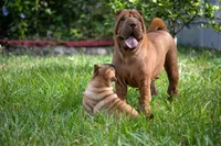 processed/3e9ea4a4-34bd-4fe9-800c-74ea14926900/listing/a80d69d3-1d46-4812-b7e5-4ac0f5cae049/4f68d7fe-29d3-4c31-ae4f-a2870ff441b2