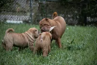 processed/3e9ea4a4-34bd-4fe9-800c-74ea14926900/listing/a80d69d3-1d46-4812-b7e5-4ac0f5cae049/721f703d-4711-483d-b63b-62fa46b2a566