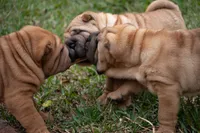 processed/3e9ea4a4-34bd-4fe9-800c-74ea14926900/listing/a80d69d3-1d46-4812-b7e5-4ac0f5cae049/94d8789b-ed10-4ba6-96df-e978dcc4e434