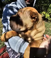 processed/3e9ea4a4-34bd-4fe9-800c-74ea14926900/listing/a80d69d3-1d46-4812-b7e5-4ac0f5cae049/beab1148-8241-4924-8db1-77a69c583731