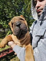 processed/3e9ea4a4-34bd-4fe9-800c-74ea14926900/listing/a80d69d3-1d46-4812-b7e5-4ac0f5cae049/dd89864d-fe26-4b9e-92e6-94127fdcacae