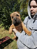 processed/3e9ea4a4-34bd-4fe9-800c-74ea14926900/listing/a80d69d3-1d46-4812-b7e5-4ac0f5cae049/f0f47618-2fa8-48e6-8c26-f67ce850130d