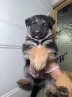 processed/3e9ffbd2-5200-49ec-bcd0-e99829f9578c/listing/a97adc58-9bfe-4096-af45-30cc5ed147ed/ab720273-d665-43bd-871f-22705677256f