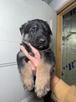 processed/3e9ffbd2-5200-49ec-bcd0-e99829f9578c/listing/a97adc58-9bfe-4096-af45-30cc5ed147ed/ae8603ab-aa25-42ee-8afd-3017e8748d5c