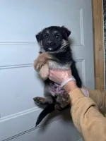 processed/3e9ffbd2-5200-49ec-bcd0-e99829f9578c/listing/d62b33fb-54ab-40e1-851f-2cb1a7017843/32f56b41-36bd-4742-a405-cdd11971c47c