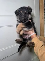 processed/3e9ffbd2-5200-49ec-bcd0-e99829f9578c/listing/d62b33fb-54ab-40e1-851f-2cb1a7017843/54fe6798-efdd-4b7b-99df-7431934f4733