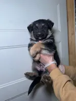 processed/3e9ffbd2-5200-49ec-bcd0-e99829f9578c/listing/d62b33fb-54ab-40e1-851f-2cb1a7017843/8b255e66-04a5-4277-9904-0be58c347311