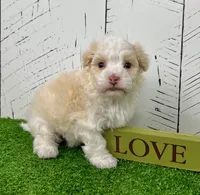 processed/3ea2b590-90e8-41c8-a77f-86b36bf4f2c3/listing/55e294b4-67cb-4f04-9b2e-235a22eb9789/250b4145-7825-4516-9936-6434d02972ce