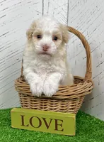 processed/3ea2b590-90e8-41c8-a77f-86b36bf4f2c3/listing/55e294b4-67cb-4f04-9b2e-235a22eb9789/503291f6-415f-4ec1-b6b8-c1ff7cc5aae0