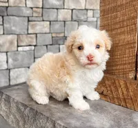 processed/3ea2b590-90e8-41c8-a77f-86b36bf4f2c3/listing/55e294b4-67cb-4f04-9b2e-235a22eb9789/8c280c80-6279-4790-b021-6eaf1f3c589b