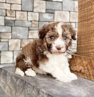 processed/3ea2b590-90e8-41c8-a77f-86b36bf4f2c3/listing/ab487391-71da-4fca-a974-91b77f6fe84a/3a27ac82-805e-41e5-8bd7-f6de6da8975e