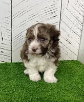 processed/3ea2b590-90e8-41c8-a77f-86b36bf4f2c3/listing/ab487391-71da-4fca-a974-91b77f6fe84a/5ef88e04-474a-4a1e-9809-b0e6d23cebfb