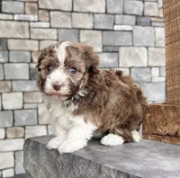 processed/3ea2b590-90e8-41c8-a77f-86b36bf4f2c3/listing/ab487391-71da-4fca-a974-91b77f6fe84a/d5e19c95-bdc1-4648-a0fe-bdcb69c69fb5