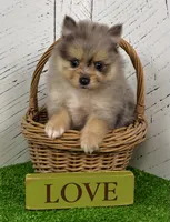 processed/3ea2b590-90e8-41c8-a77f-86b36bf4f2c3/listing/c927a38a-2ffd-46a9-ad60-ad8930897af0/2bb9b540-abf7-4f10-b74d-e651f058da44