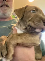 processed/3ebda315-e459-4c9d-bbb1-2c25a50ba15a/listing/e02083da-bc01-4a33-8545-605b52cdfda6/9323ba3f-7261-40c6-8342-de2e21037a18