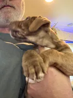 processed/3ebda315-e459-4c9d-bbb1-2c25a50ba15a/listing/e02083da-bc01-4a33-8545-605b52cdfda6/b982a39e-5092-4430-8faf-114513bb9315