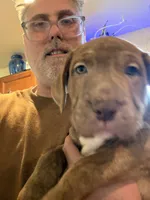 processed/3ebda315-e459-4c9d-bbb1-2c25a50ba15a/listing/e02083da-bc01-4a33-8545-605b52cdfda6/d8c7c50d-a0fd-4128-ba8c-114aedcf7611