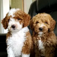 processed/3ec21757-36b7-4200-b057-6d1cd7dc934a/facility/04b5d485-e4cc-4a9b-9249-32c95d069314