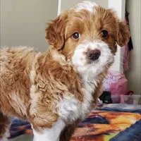 processed/3ec21757-36b7-4200-b057-6d1cd7dc934a/facility/14712d0a-f2e4-428c-b8b9-e6918d3e6c39