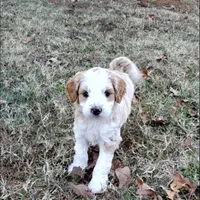 processed/3ec21757-36b7-4200-b057-6d1cd7dc934a/facility/6990d581-0b13-46bc-84da-d9831680d90c