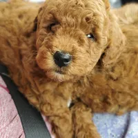 processed/3ec21757-36b7-4200-b057-6d1cd7dc934a/facility/b56a6cf2-2eaf-4997-bee6-7ff1def59b29