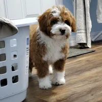 processed/3ec21757-36b7-4200-b057-6d1cd7dc934a/facility/bce4d09b-b606-4479-87d1-e70a41580533