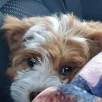 processed/3ec21757-36b7-4200-b057-6d1cd7dc934a/facility/c125e26b-498b-4e00-9ee3-ca7a2e69ee6d