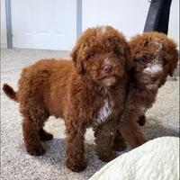 processed/3ec21757-36b7-4200-b057-6d1cd7dc934a/facility/e1890002-a63e-43ba-bb37-046cd9a5a070