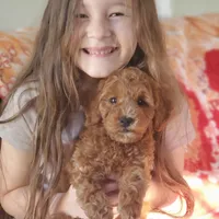 processed/3ec21757-36b7-4200-b057-6d1cd7dc934a/facility/e7c6de32-13a2-48bd-8074-fa6554181631