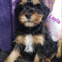 processed/3ec21757-36b7-4200-b057-6d1cd7dc934a/facility/facfcfe8-a941-46a1-b665-0327b367ce70