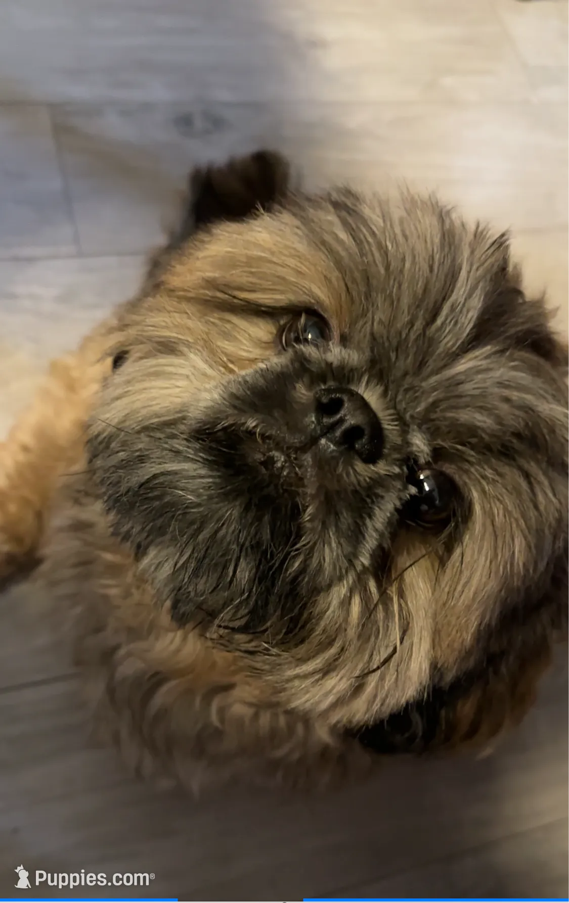 processed/3ec74dc2-51cd-4c47-a4d1-013d251f84b3/facility/28e4019c-838e-43a5-b687-d5b62f8006cf