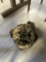 processed/3ec74dc2-51cd-4c47-a4d1-013d251f84b3/facility/43c92e70-3e63-486b-8d44-bb8c004e0dd9