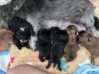 processed/3ec74dc2-51cd-4c47-a4d1-013d251f84b3/facility/5b809c58-6070-42e5-8036-44c93629eee1