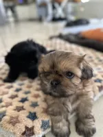 processed/3ec74dc2-51cd-4c47-a4d1-013d251f84b3/facility/a6bb7d61-61c1-4e8b-b2c7-b430be0a2851