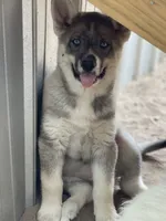 processed/3ecdb1ab-82ba-47a4-b443-b029c77ff4b8/facility/74e93eeb-7ed6-4fa5-8838-7f7279b94de3